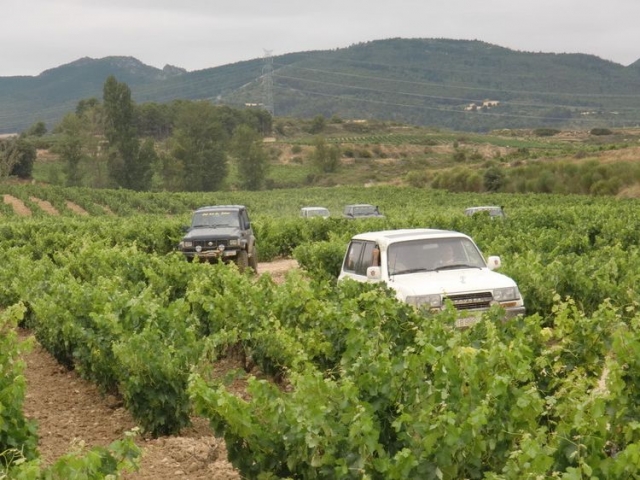 manejando entre vides